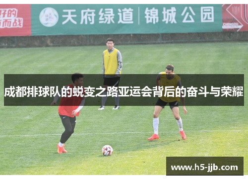 成都排球队的蜕变之路亚运会背后的奋斗与荣耀